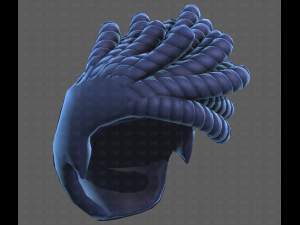 Base Hair for Boy V62 3D Модель