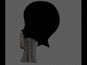 Beard V62 Model 3D