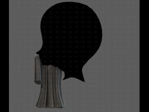 Beard V62 3D Model