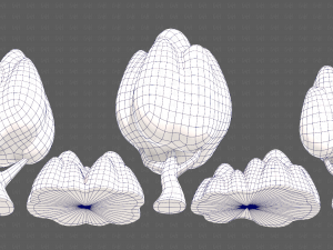 Trees Cartoon V56 3D Model