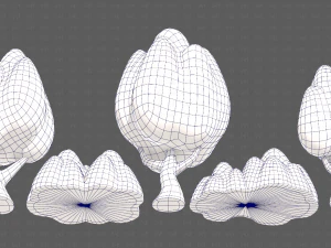 Trees Cartoon V56 3D Model