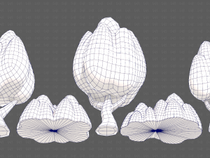 Trees Cartoon V56 3D Model