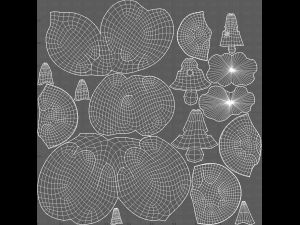 Trees Cartoon V56 3D Model