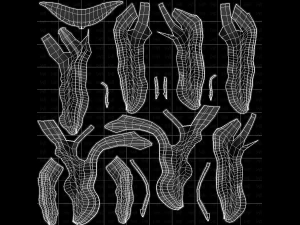 Beard V63 3D Model