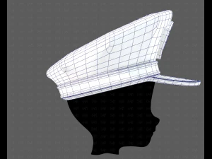 Cap V80 3D Model