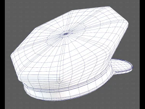 Cap V80 3D Model