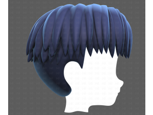 Base Hair for Boy V64 3D Model