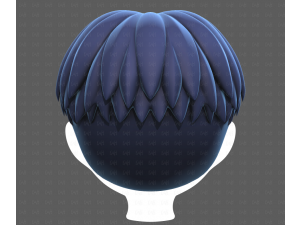 Base Hair for Boy V64 3D Model
