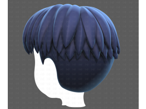 Base Hair for Boy V64 3D Model