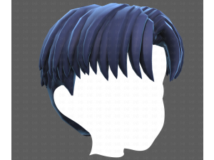 Base Hair for Boy V64 3D Model