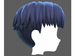 Base Hair for Boy V64 3D Model