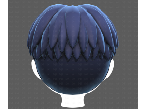 Base Hair for Boy V64 3D Model