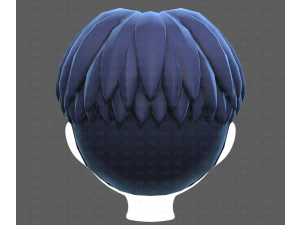 Base Hair for Boy V64 3D Model