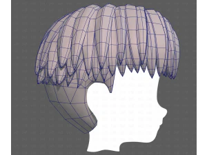 Base Hair for Boy V64 3D Model