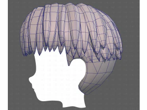 Base Hair for Boy V64 3D Model