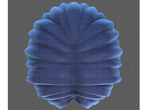 Base Hair for Boy V64 3D Model