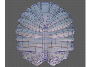 Base Hair for Boy V64 3D Model