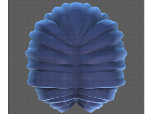 Base Hair for Boy V64 3D Model
