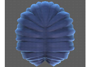 Base Hair for Boy V64 3D Model