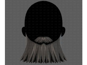 Beard V64 3D 模型