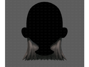 Beard V64 3D 模型