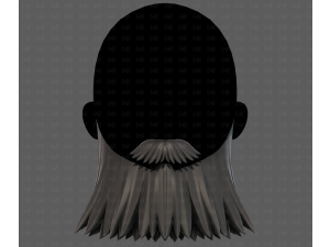 Beard V64 3D 模型