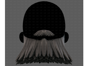 Beard V64 3D 模型