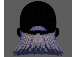 Beard V64 3D Model