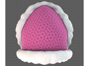 Cap V83 Model 3D