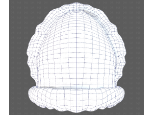 Cap V83 Model 3D