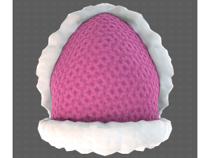 Cap V83 Model 3D