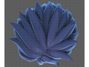 Base Hair for Boy V65 3D Модель
