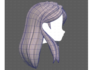 Base Hair for girl V65 3D Модель