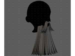 Beard V65 3Dモデル
