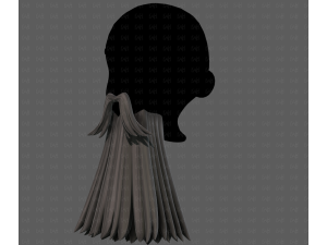Beard V65 3Dモデル
