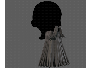 Beard V65 3Dモデル