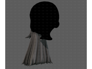 Beard V65 3Dモデル