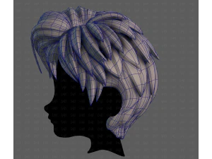 3D Hair style for boy V125 3D Model