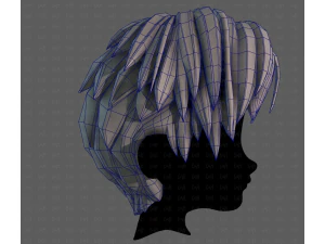 3D Hair style for boy V125 3D Model