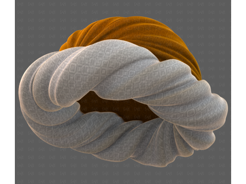 Cap V87 3D Model