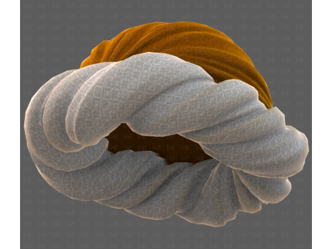 Cap V87 3D Model