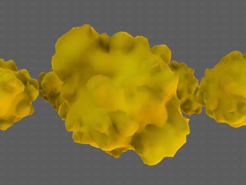 Trees Cartoon V61 3Dモデル