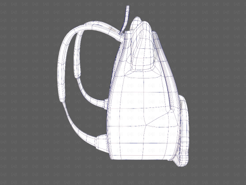 Bag V19 Model 3D