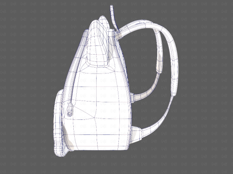 Bag V19 Model 3D