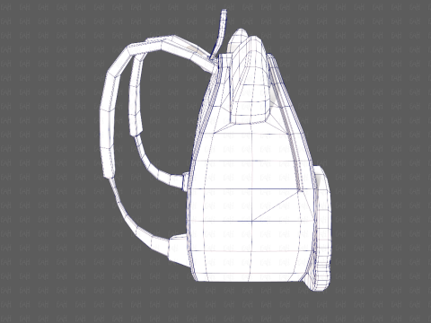 Bag V19 Model 3D