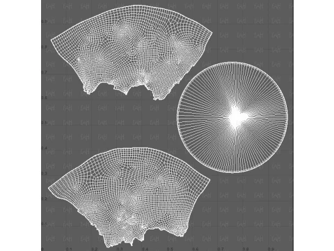 Isola V01 Modello 3D