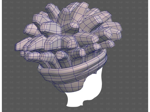 Base Hair for Boy V67 3D Model