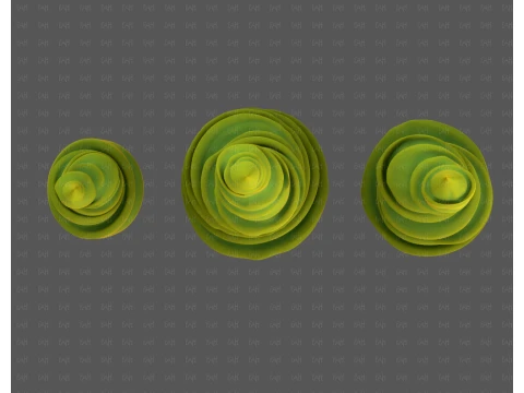 Trees Cartoon V64 3D Model