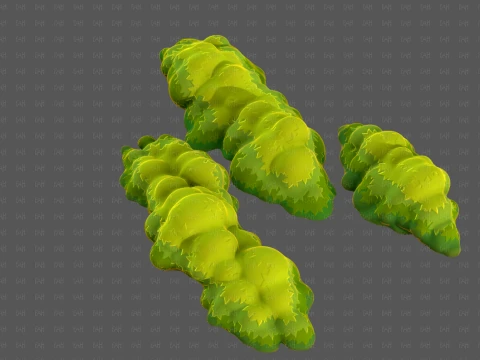 Trees Cartoon V65 3D Model