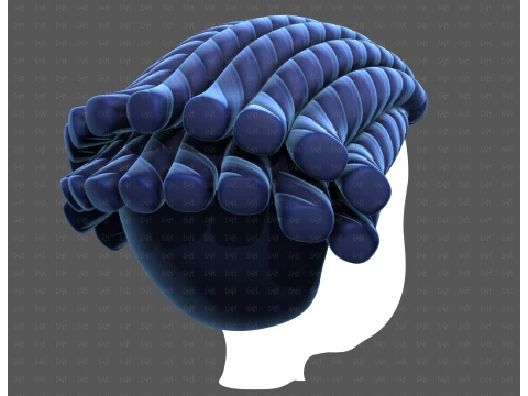 Base Hair for Boy V69 3D Model